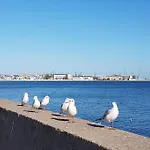아파트 With A Garden Near Port In