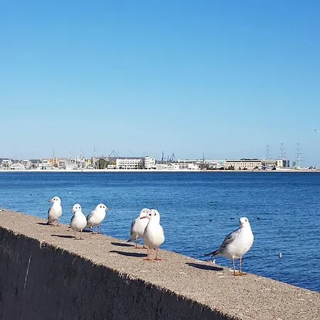 Апартаменты With A Garden Near Port In