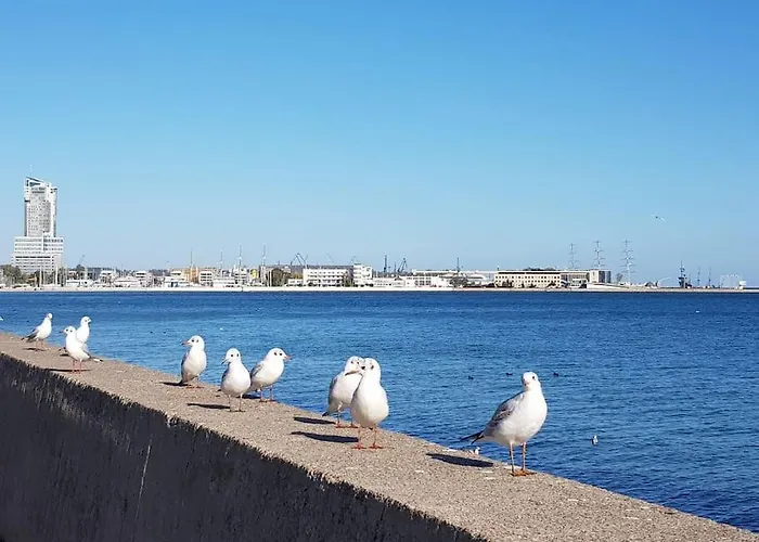 Διαμέρισμα With A Garden Near Port In